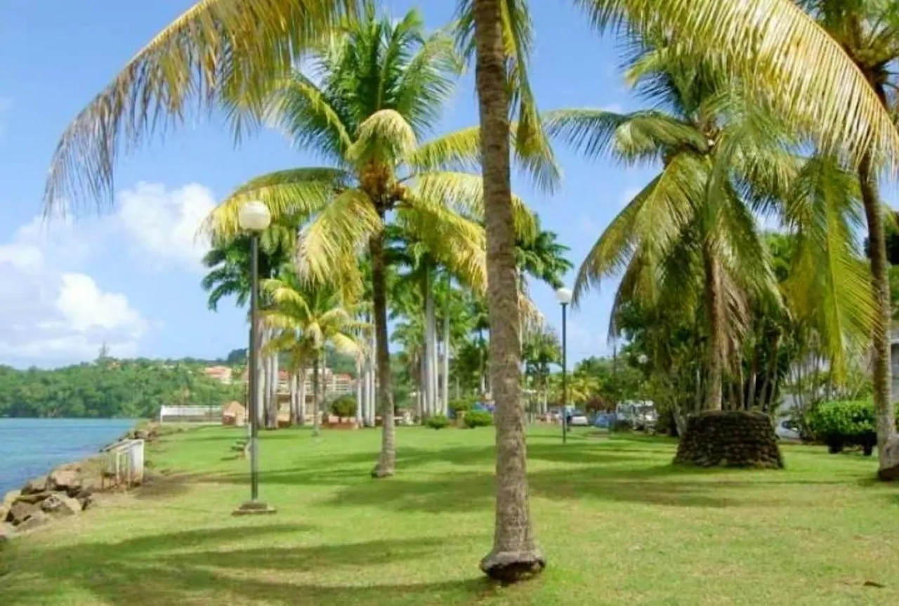 Appartement Face A La Mer A La Trinite - 70 M² - Terrasse Martinique